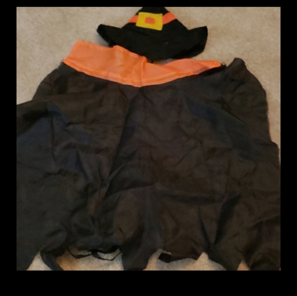 Witch dog costume